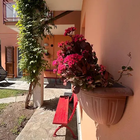 شقة Miralago Casa *